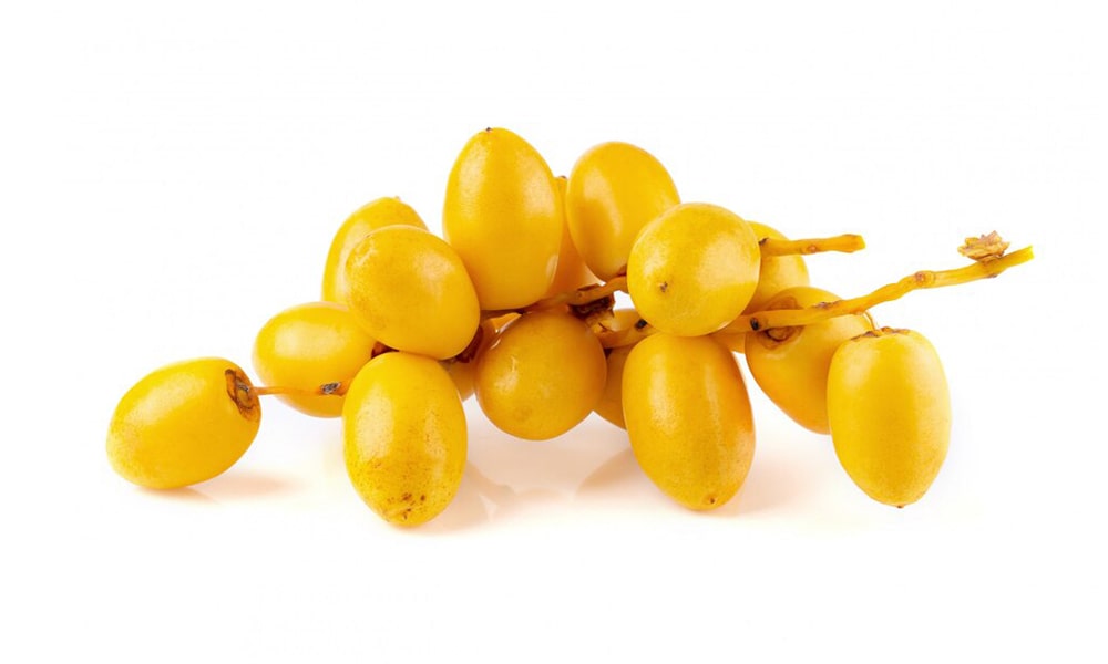 خرمای هلیله ای صادراتی